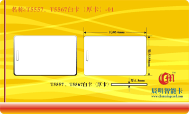 T5557T5567?׿񿨣-01 